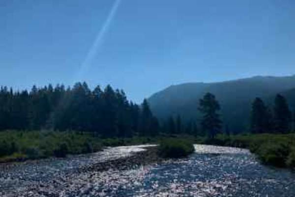 Texas Creek (FSR 755)