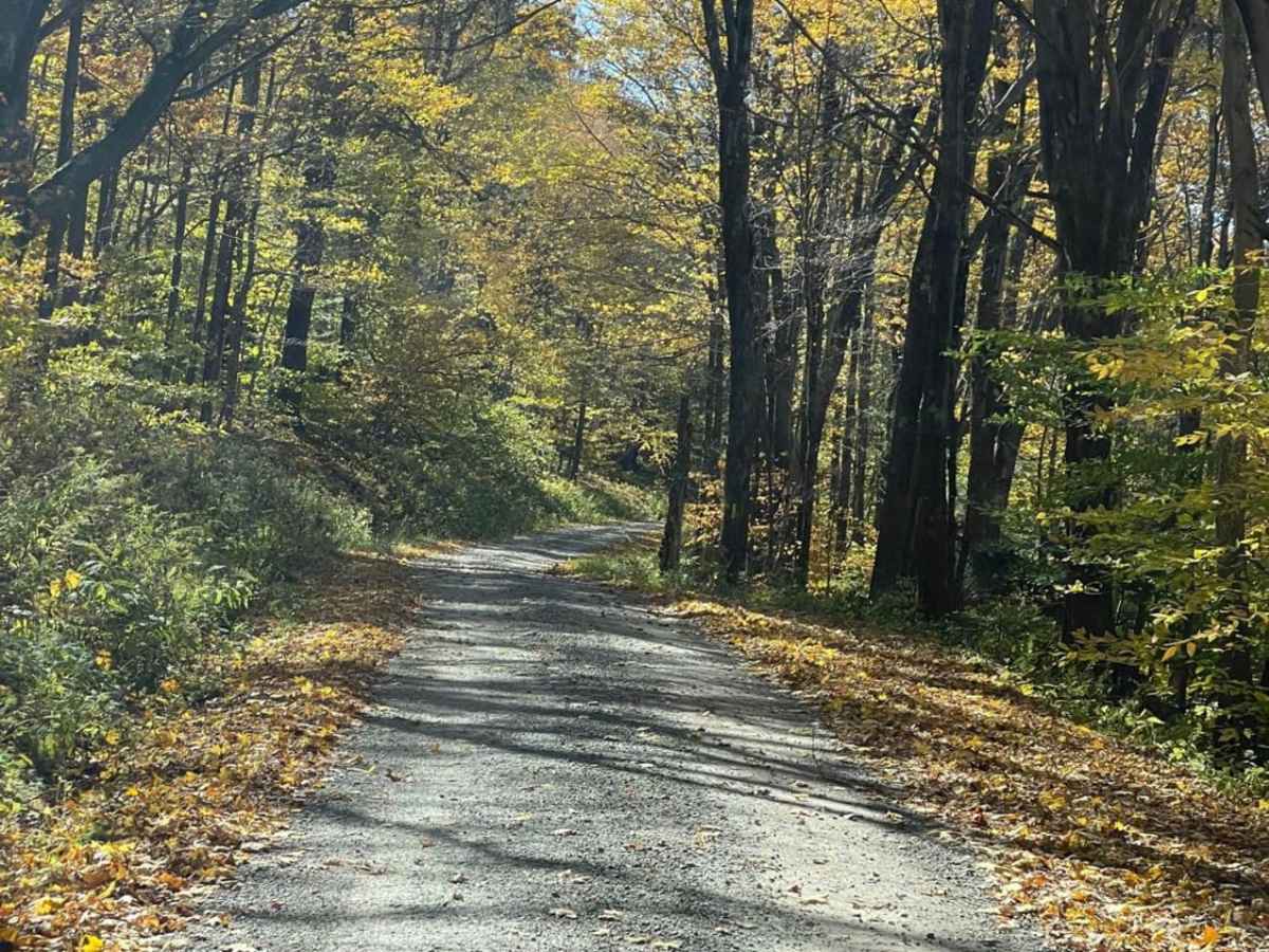 Parsons to Stone Lake Run photo 3