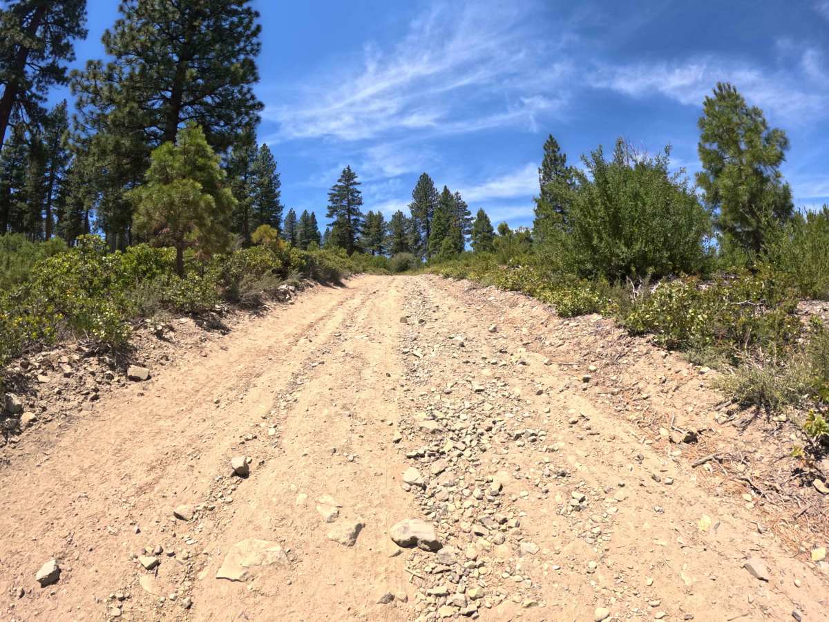 Verdi Ridge Loop Road - FS 31074 photo 5
