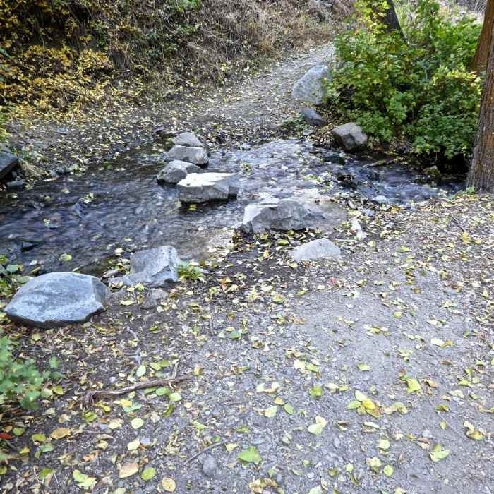 Near Lower Genoa Canyon Trail