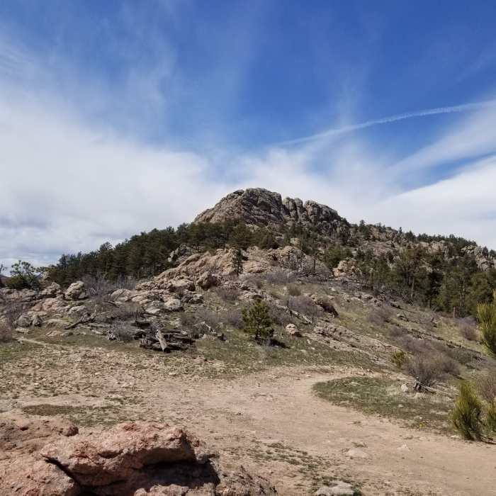 Near South Ridge Trail
