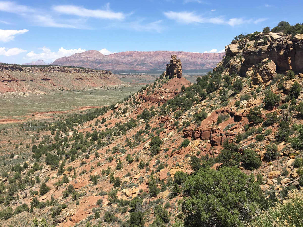 Little Creek trail photo