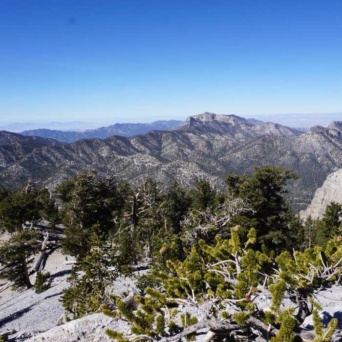 Near Mummy Mountain via Trail Canyon