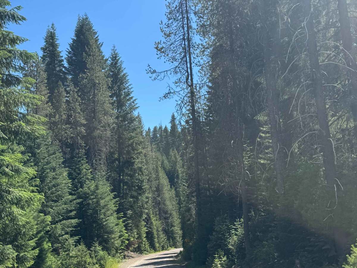 FS 6535-900 trail photo
