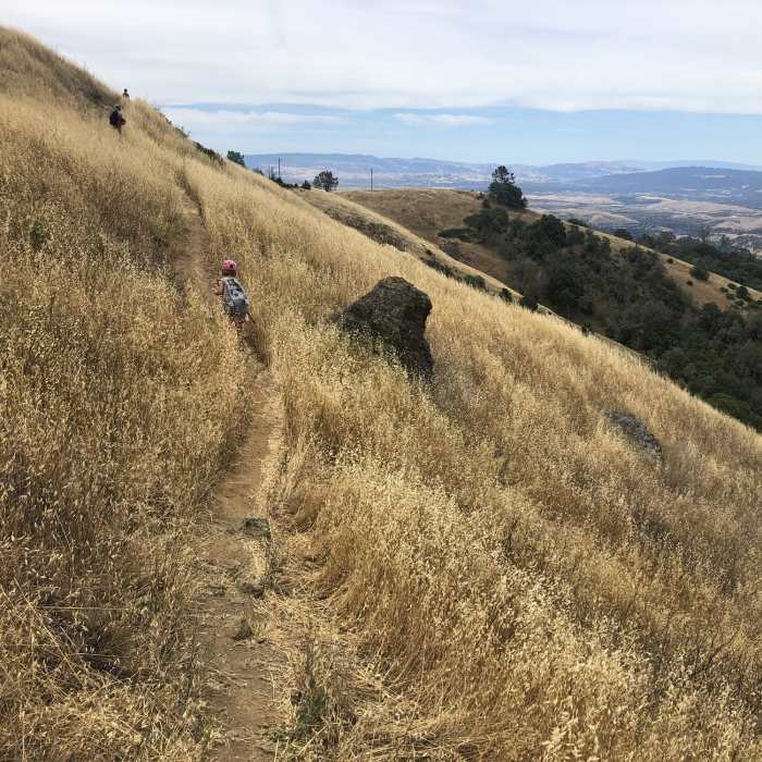 Near South Juniper Trail
