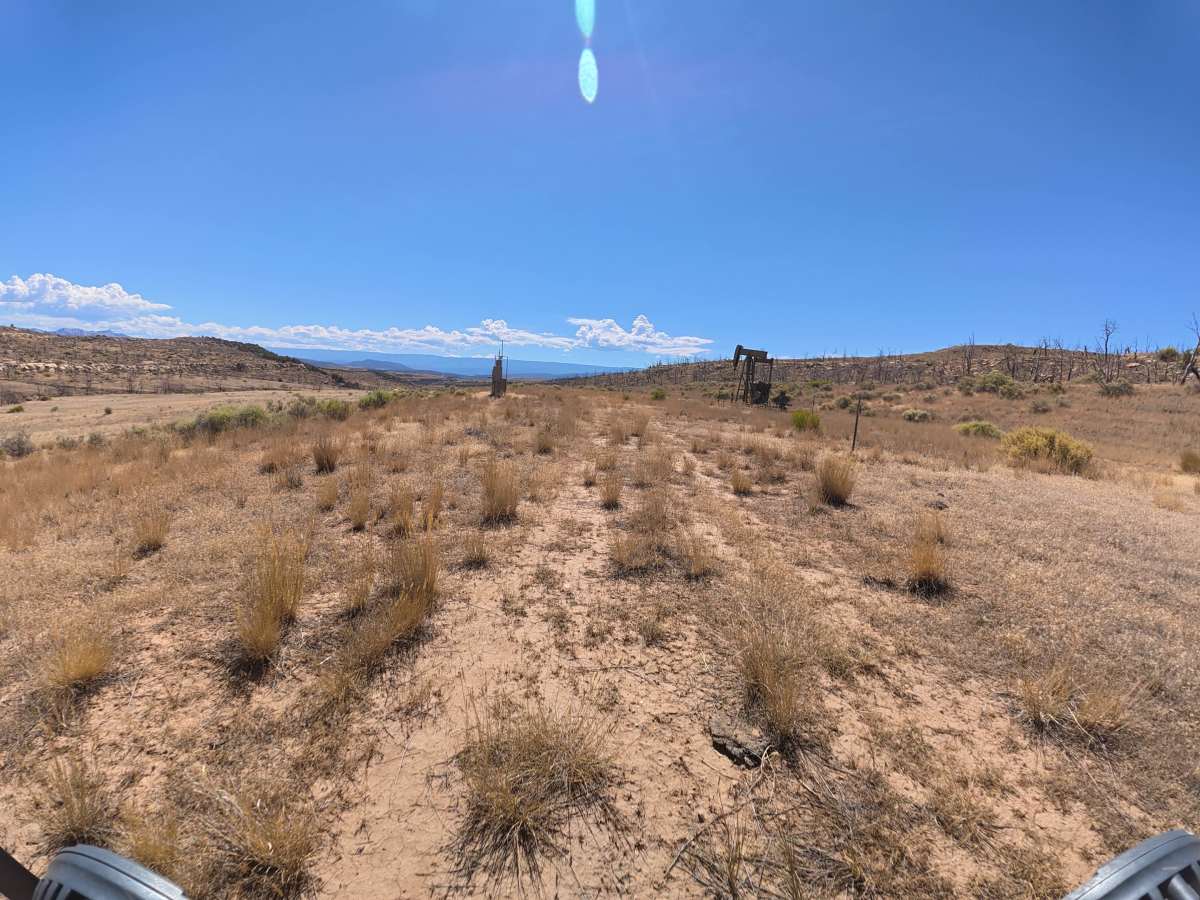 BLM 286B photo 6