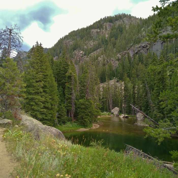 Near Boulder Canyon Trail #7113