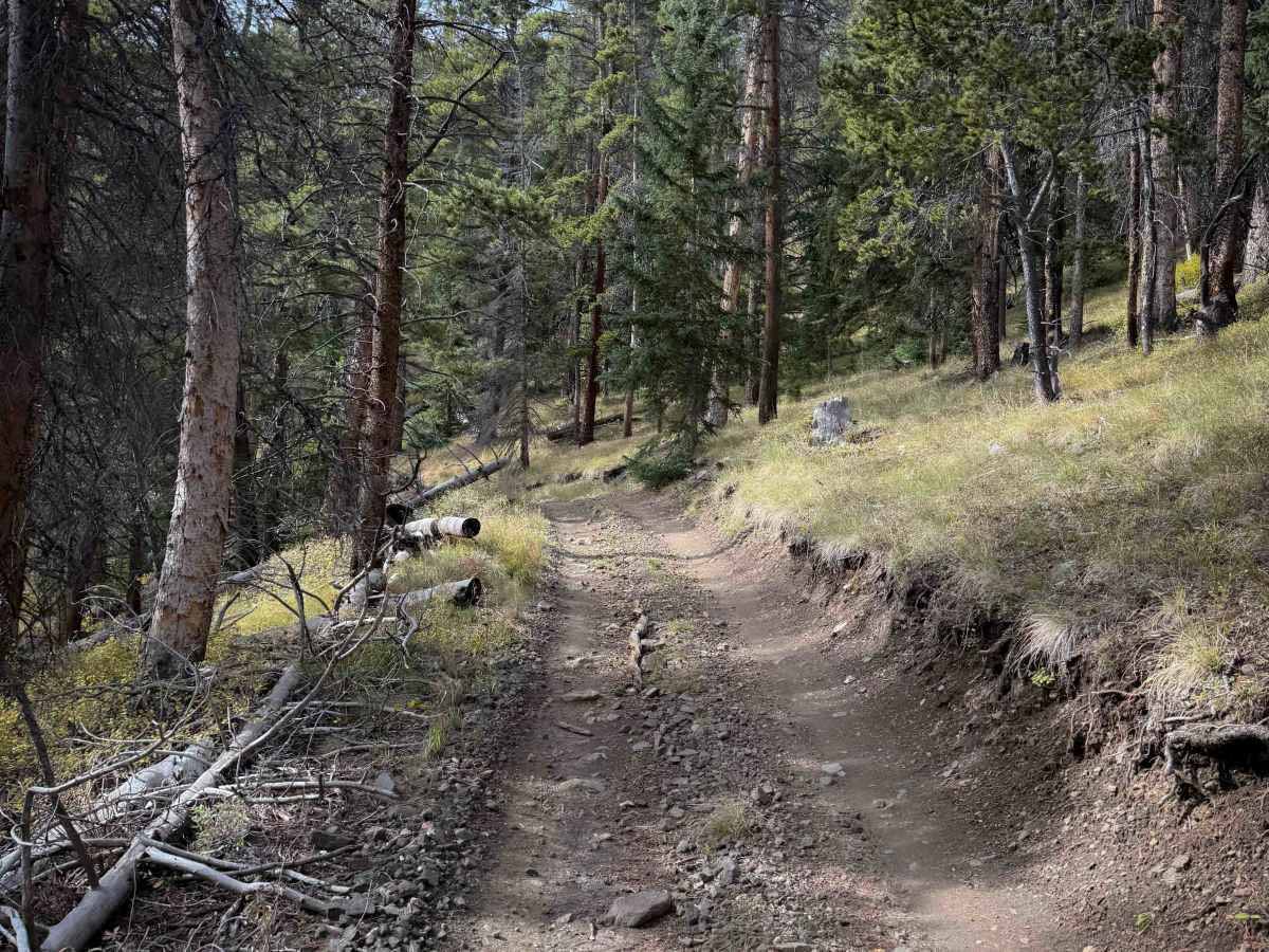 Bald Mountain Trail - FS 644  photo 4