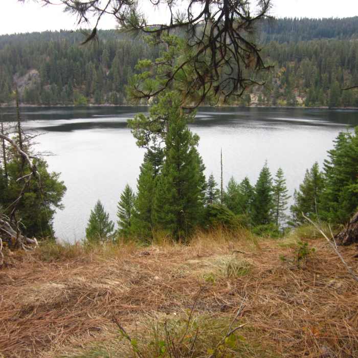 Near Ponderosa State Park Big Loop