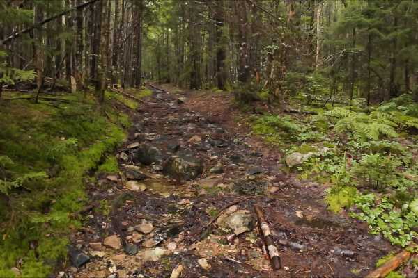 Memel Alternative Trail