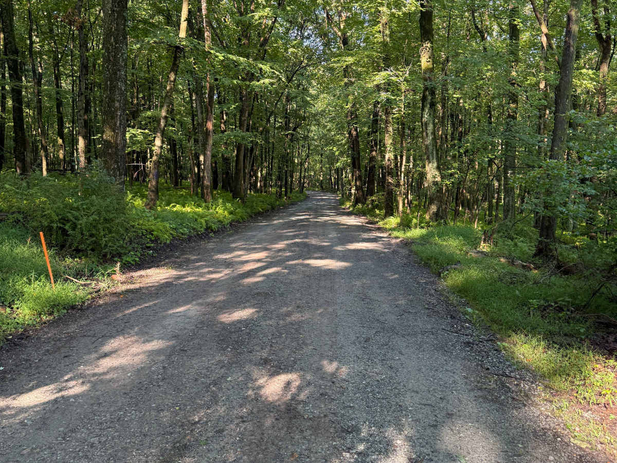 Hoffman Road photo 2