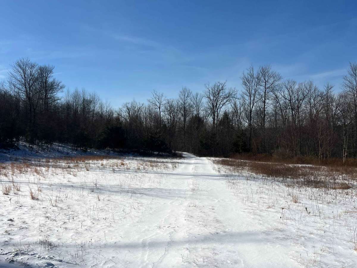 Shirk's Run Trail photo 6