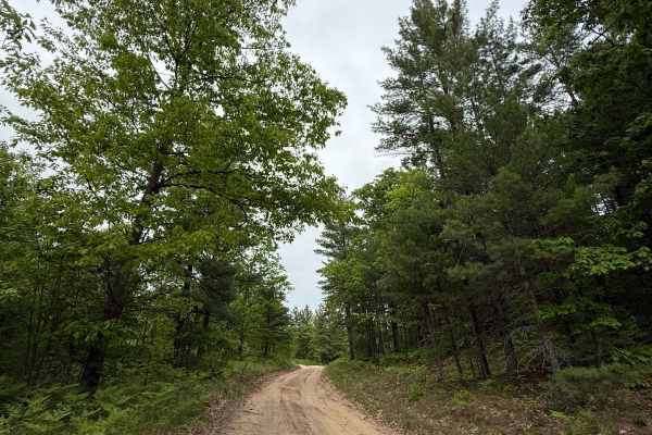 Crofton Road Trail