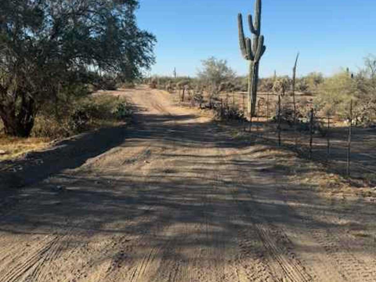 Nw2030 trail photo
