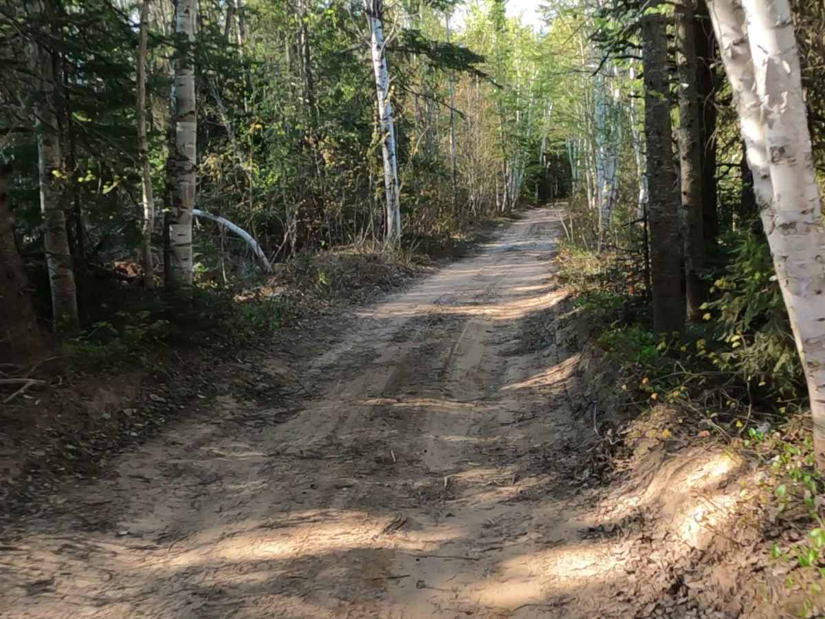 North Brooks Road photo 4