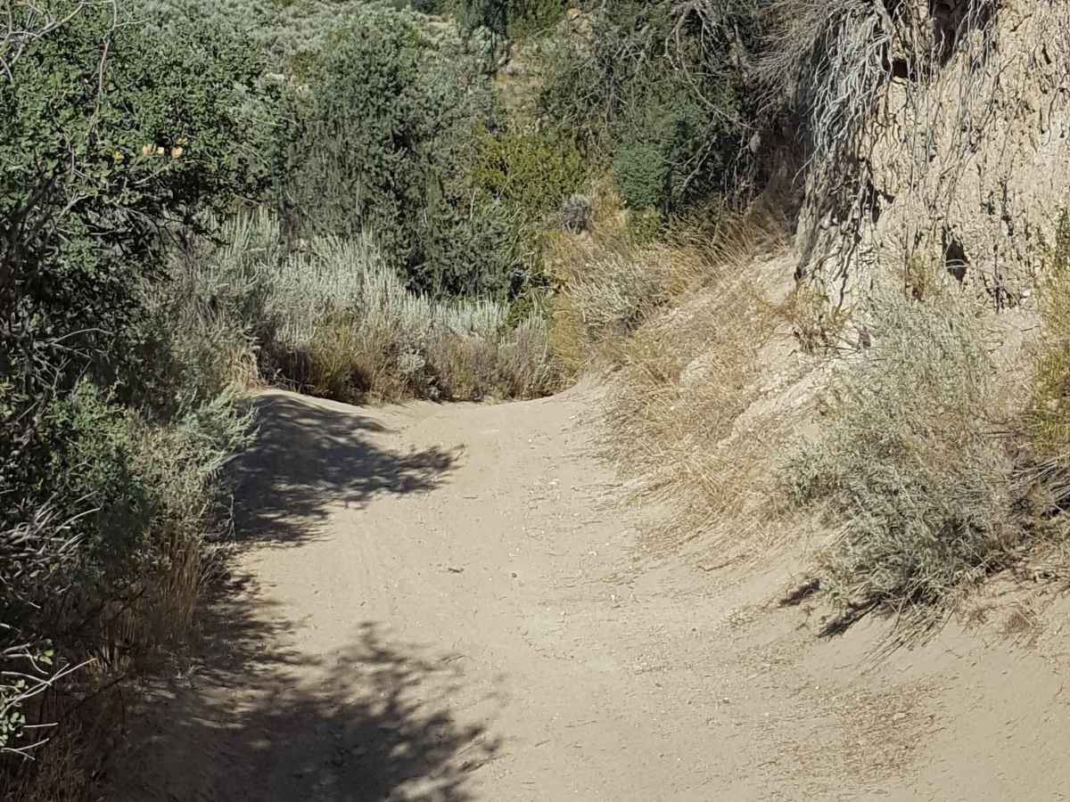 Trail 40 photo 4