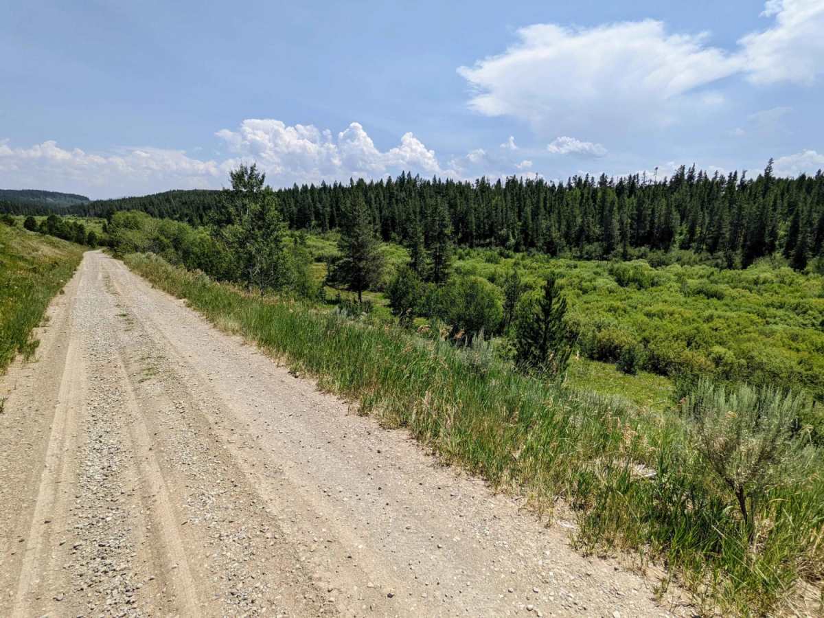 Jackass Loop Trail (FS 264) photo 3