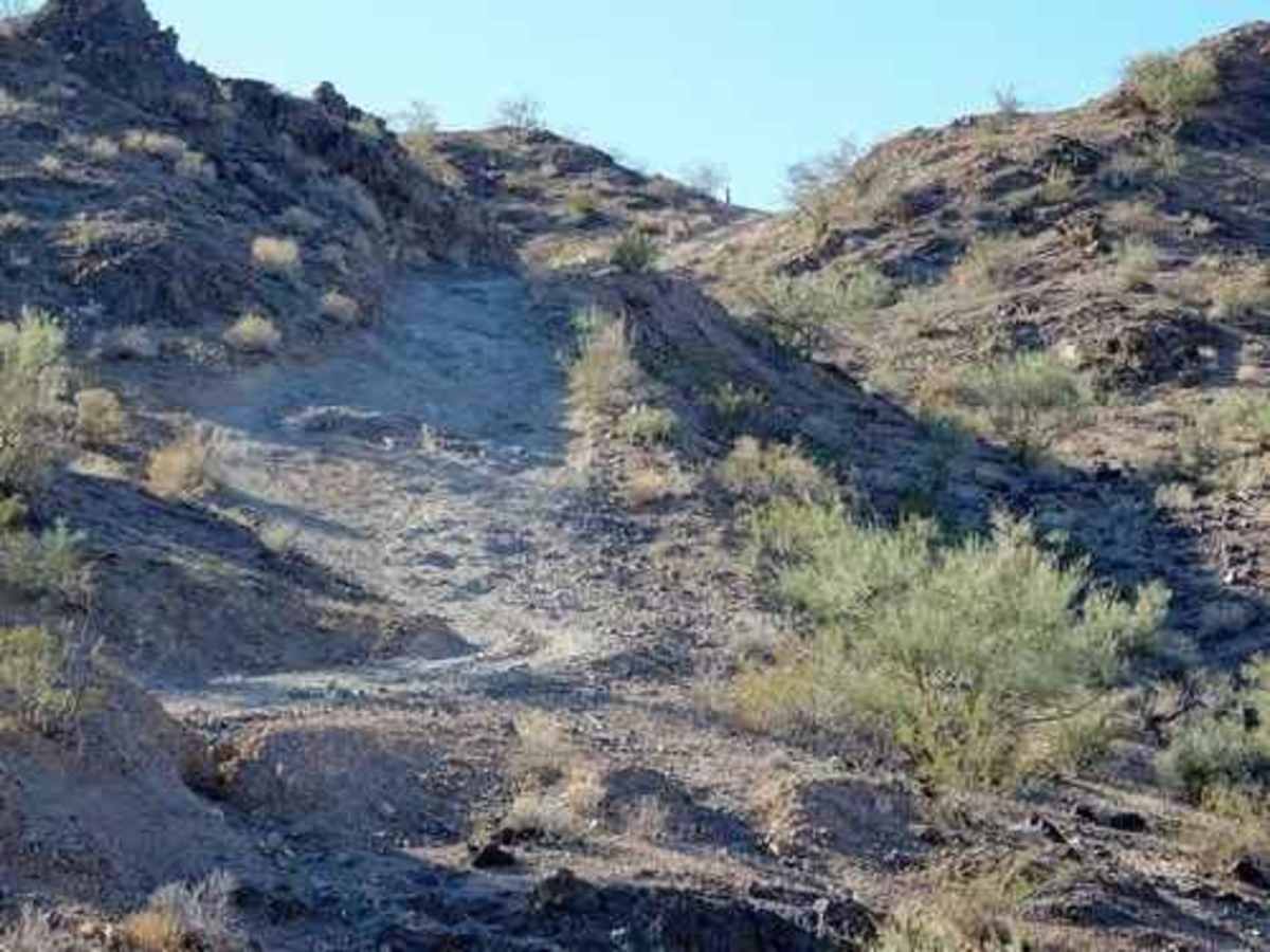 Longo's Curse trail photo
