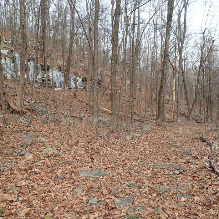 Near North/South Loop Near North/South Loop