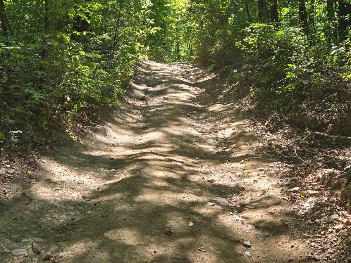 Trail 50  photo 3