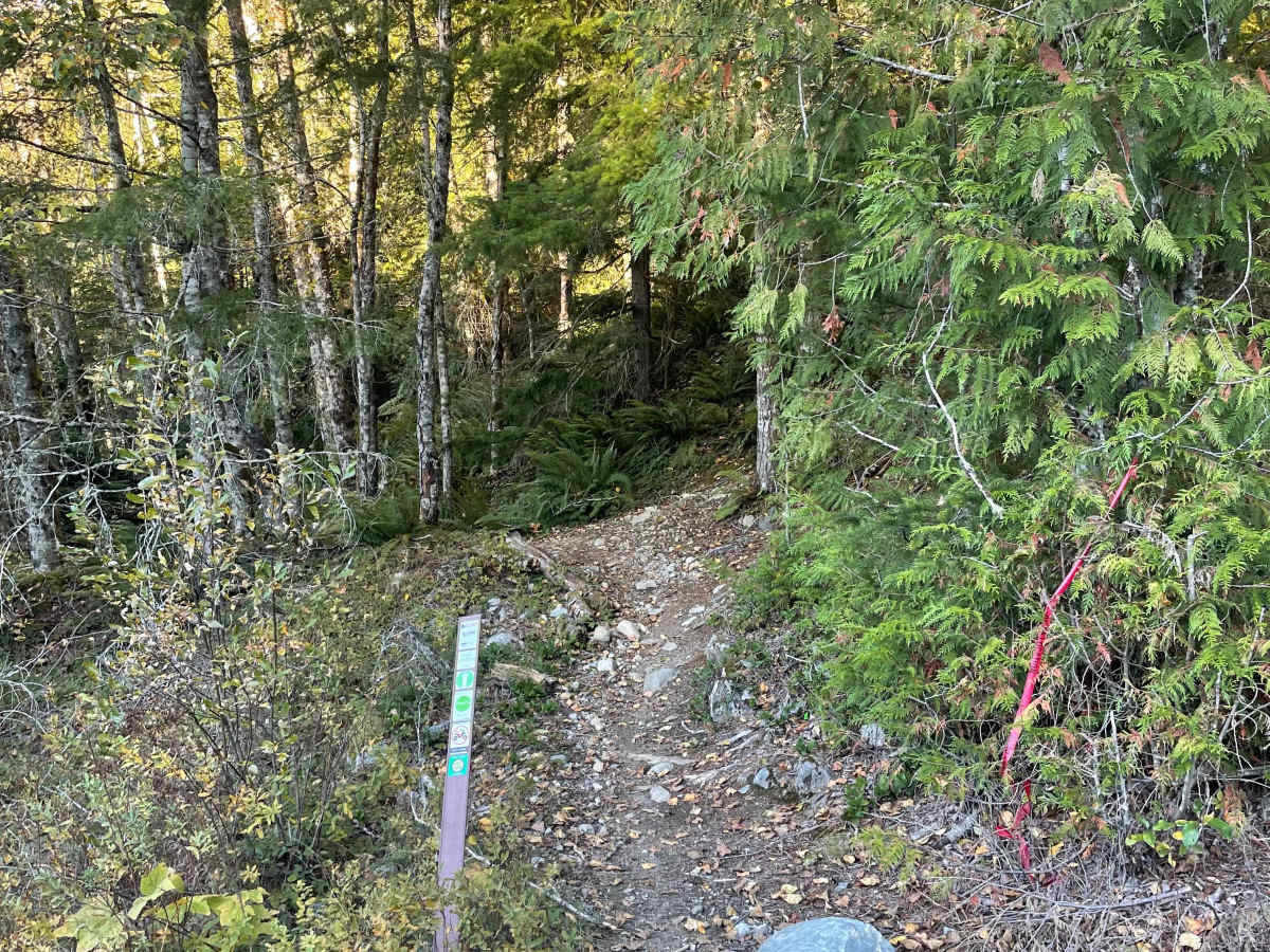 Final Stretch photo 4