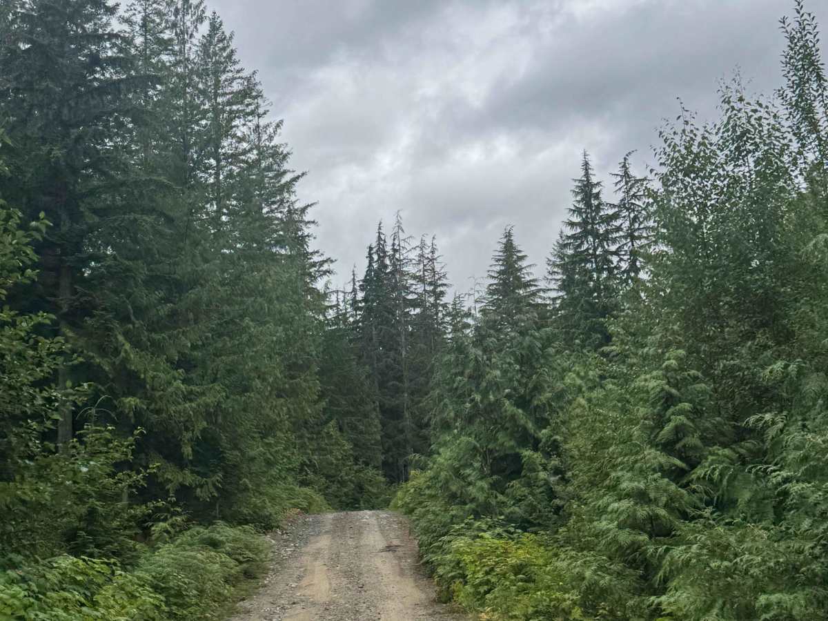 Upper Chehalis - SK 100 photo 3