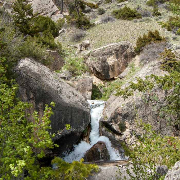 Near Upper Layout Creek Trail