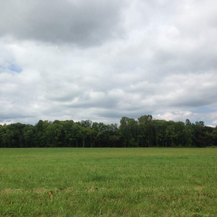 The field of Weldon Peete Park Near Low Hollow Trail