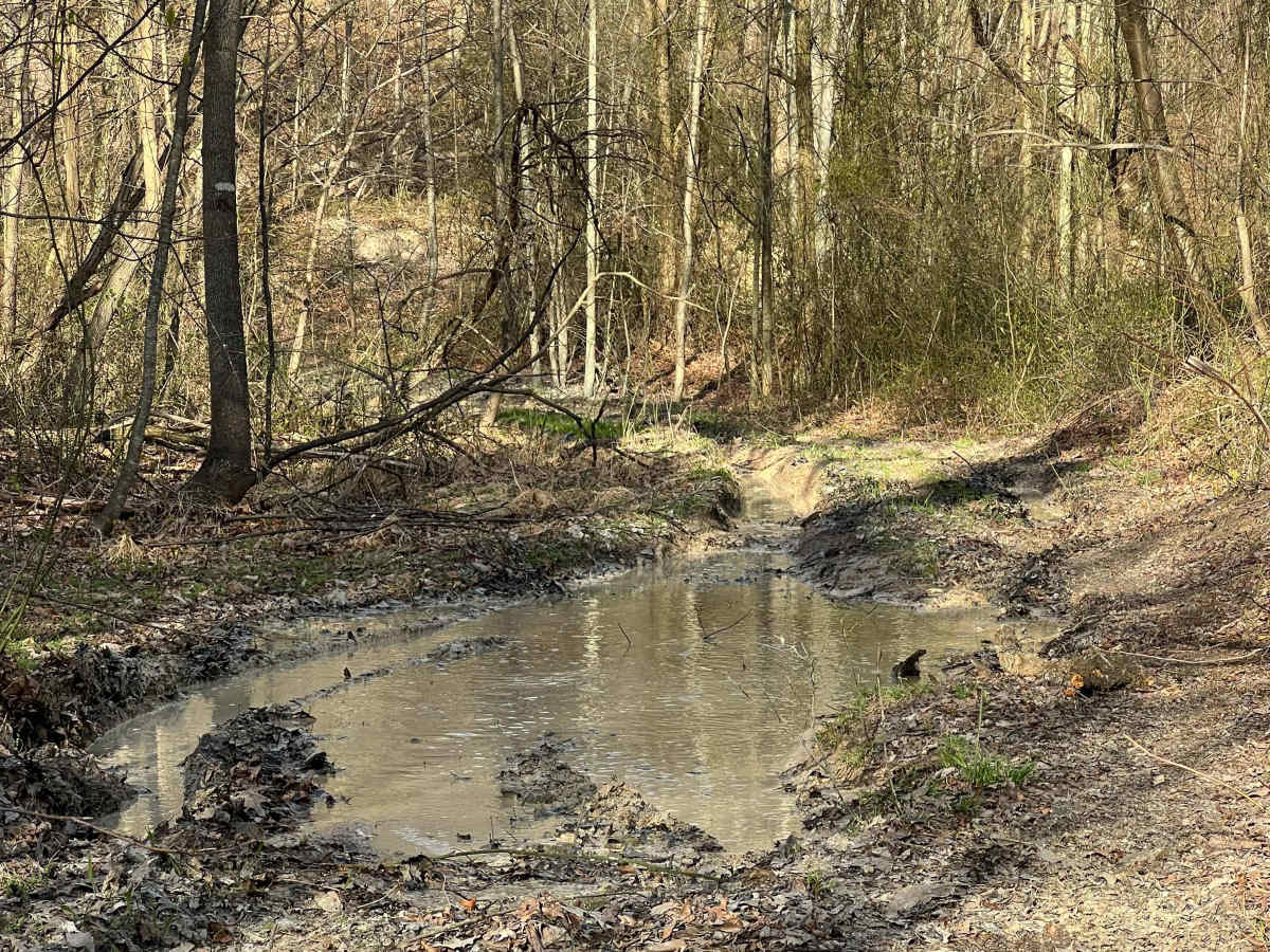 Q42A trail photo