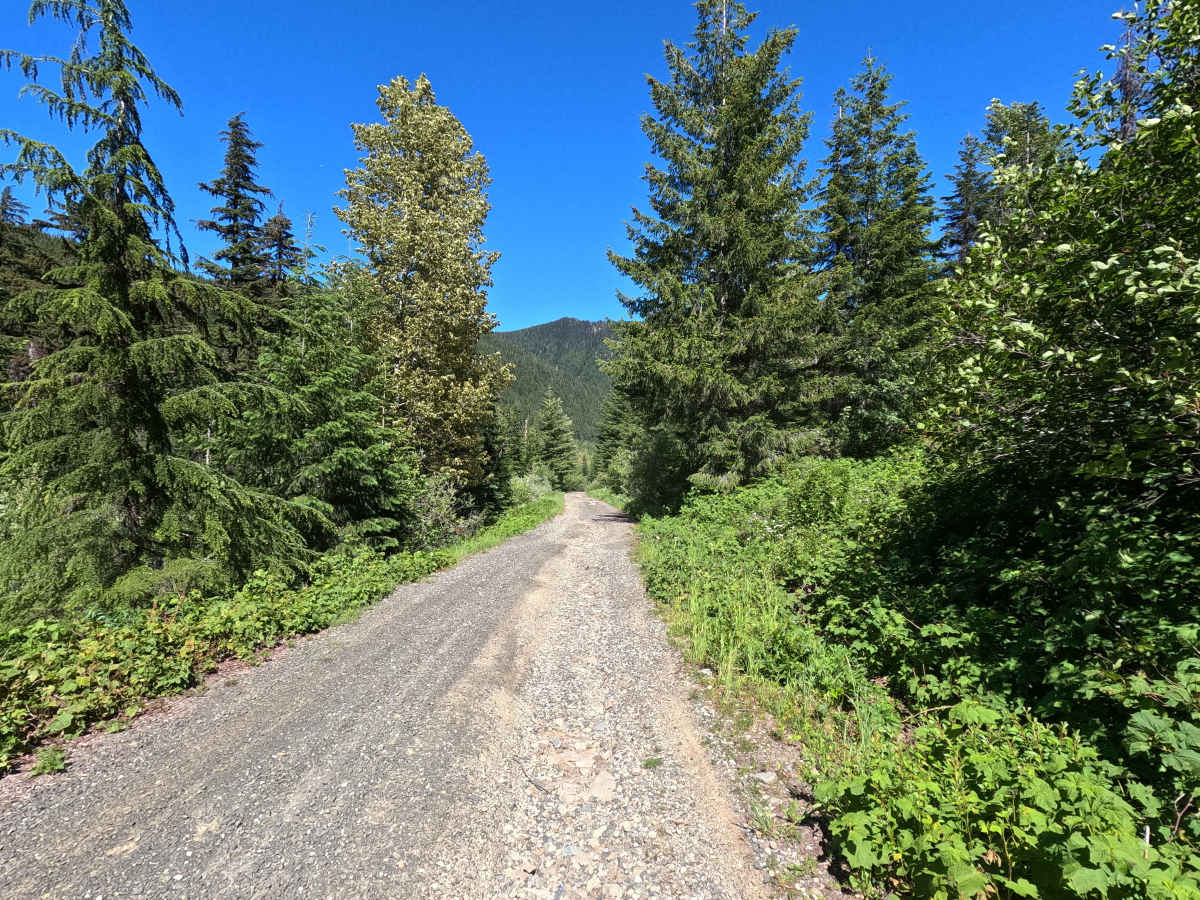 Thorp Creek - FS 4312 photo 6