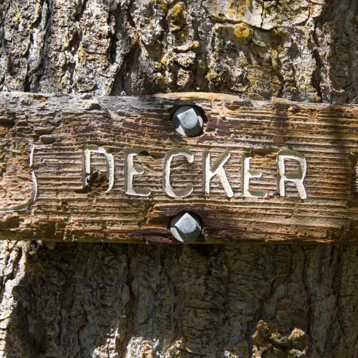 Near Alpine Way Trail, Redfish to Huckleberry Creek Near Alpine Way Trail, Redfish to Huckleberry Creek