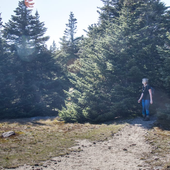 Near West Approach of Slide Mountain