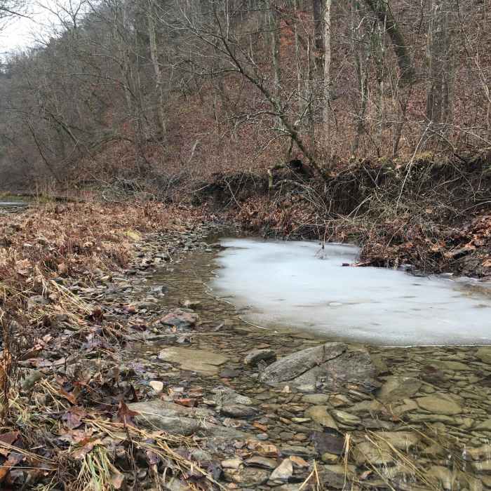 Near Three Creeks Trail - Turkey Creek Segment