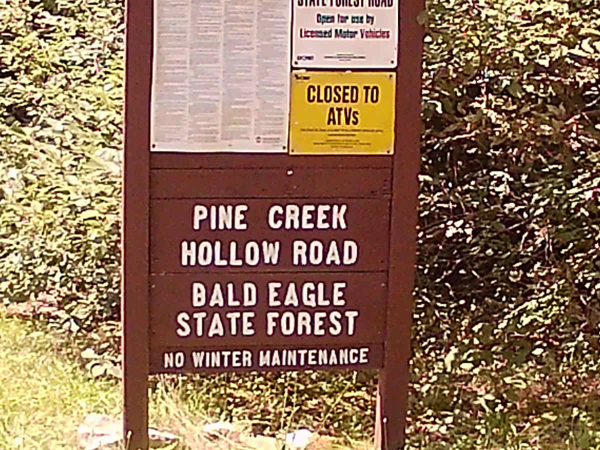 Pine Creek Hollow Road photo 2