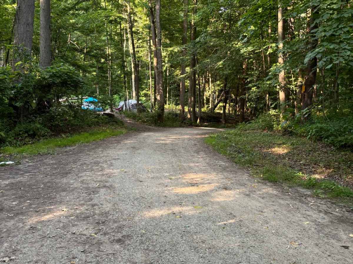 Shaker Access Road photo 6