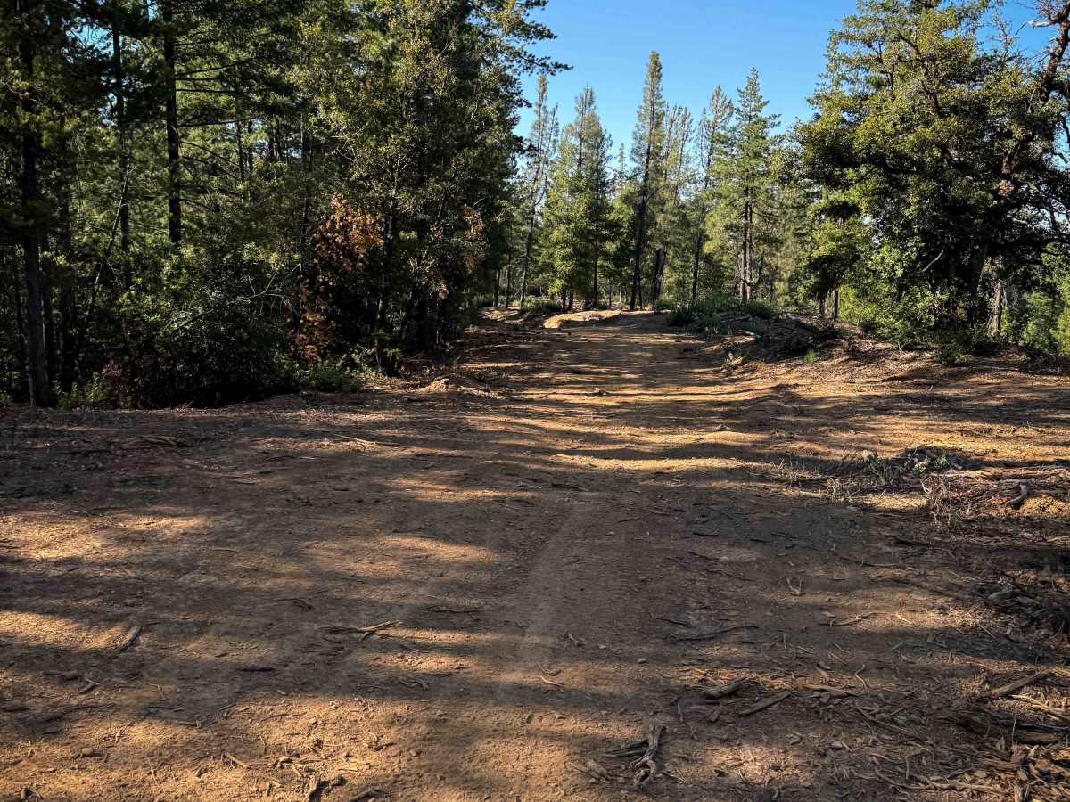 Trail 4-3 (11E34)  photo 2