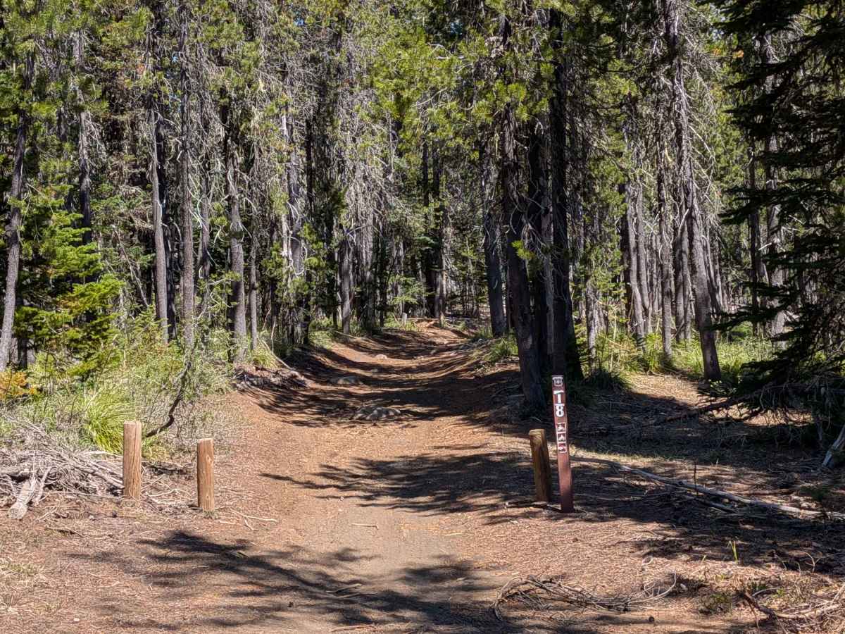 Santiam OHV 18 trail photo