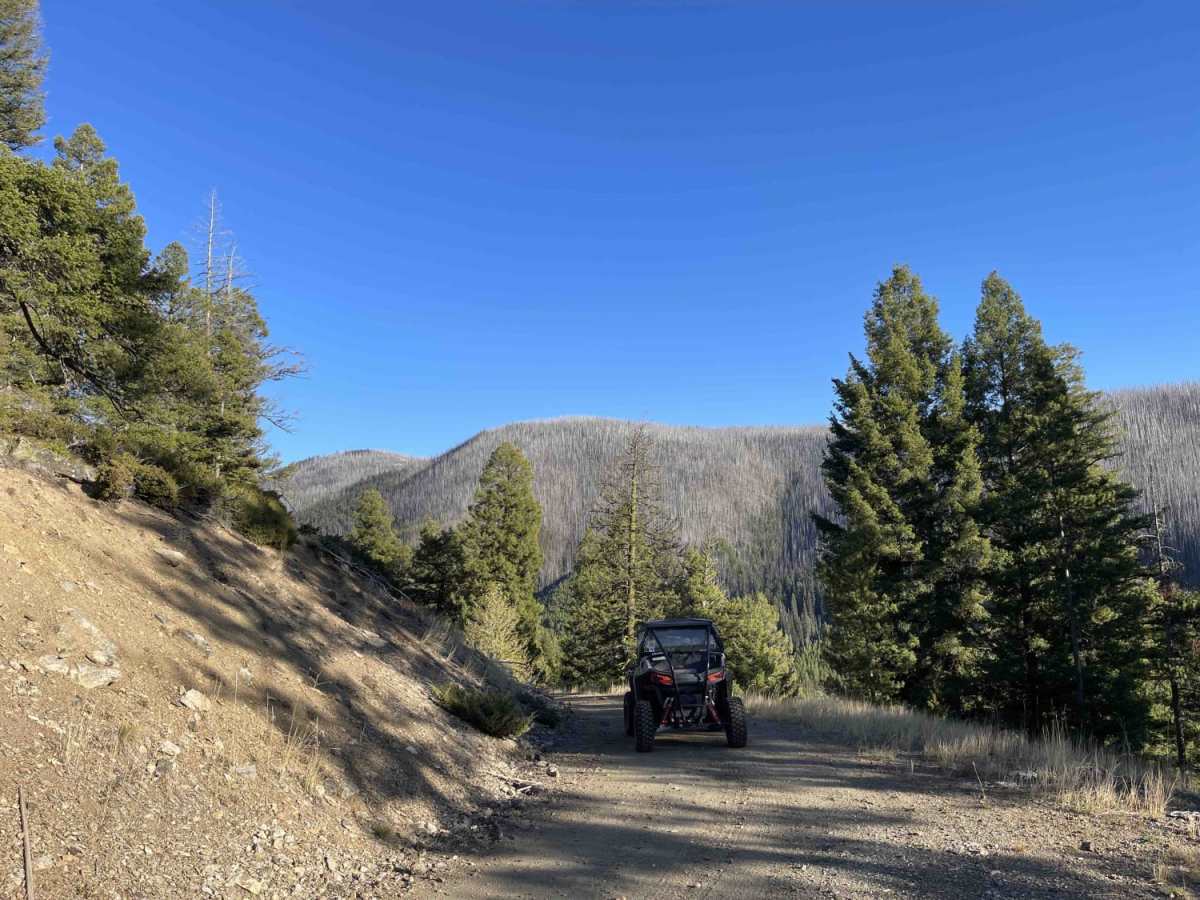 St Clair trail photo