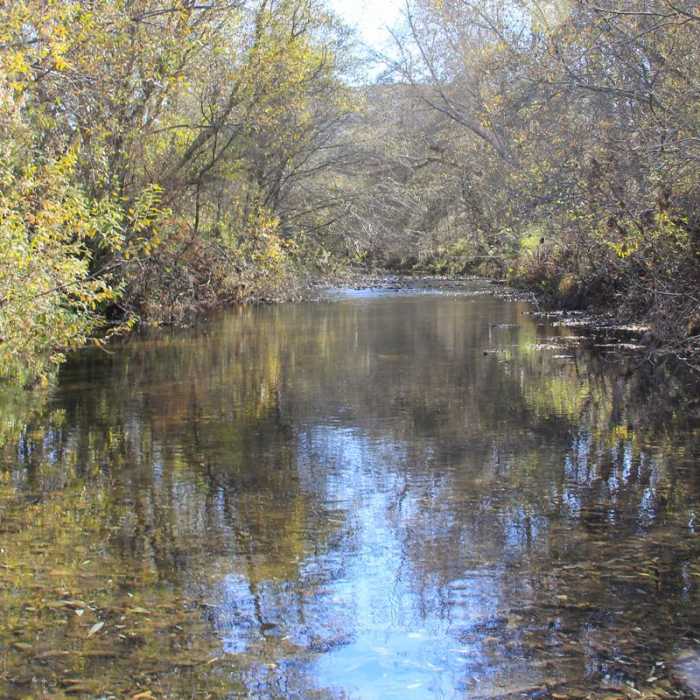 Near Beach Trail Near Beach Trail