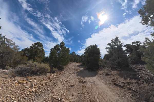 Dome Hill Road