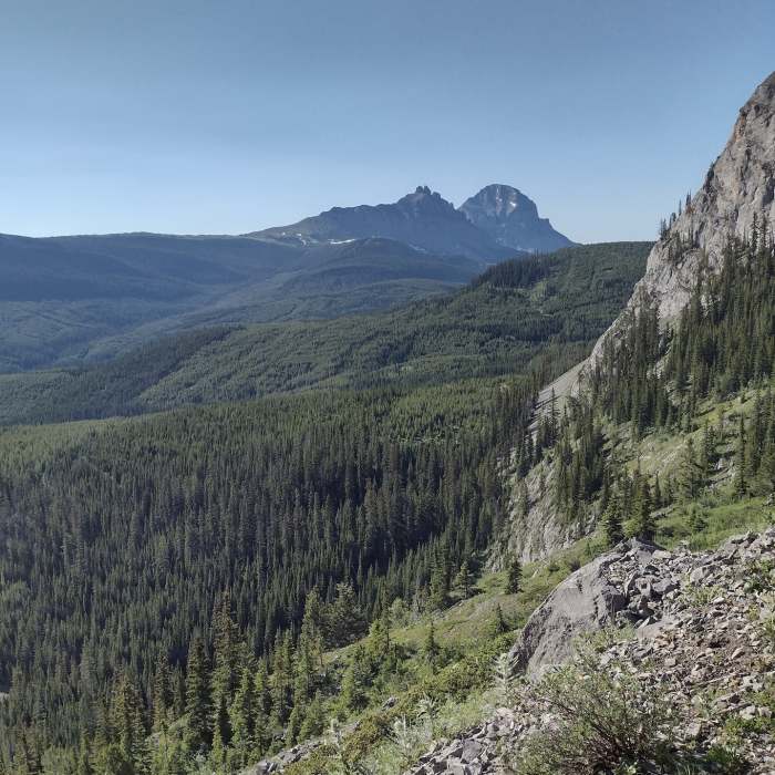 Seven Sisters and Crowsnest Mountain in the distance looking southeast from the trail just east of Racehorse Pass. Near Great Divide Trail: Window Mountain Lake Bypass Alternate Route
