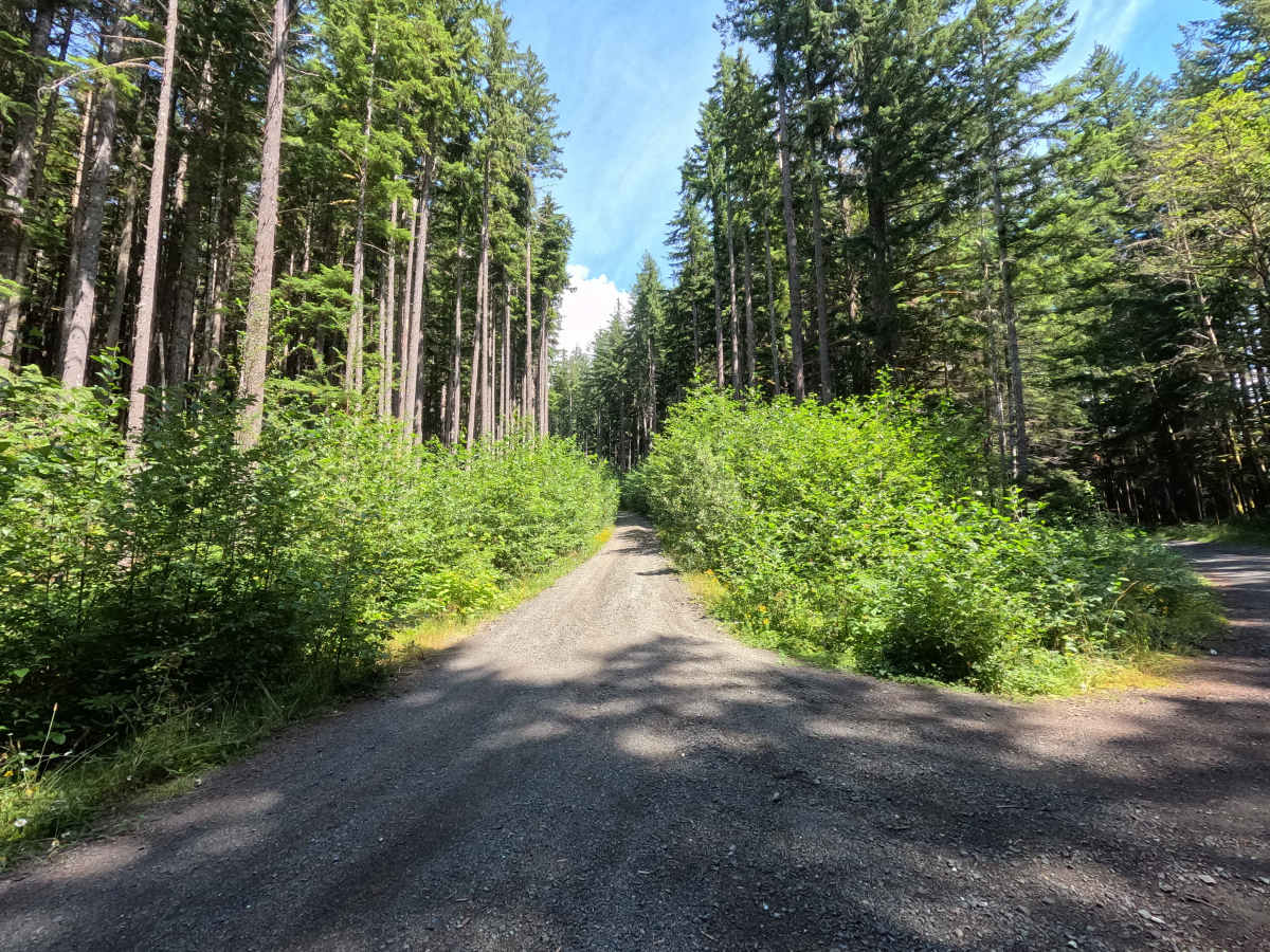 North Side Stewart Peak trail photo