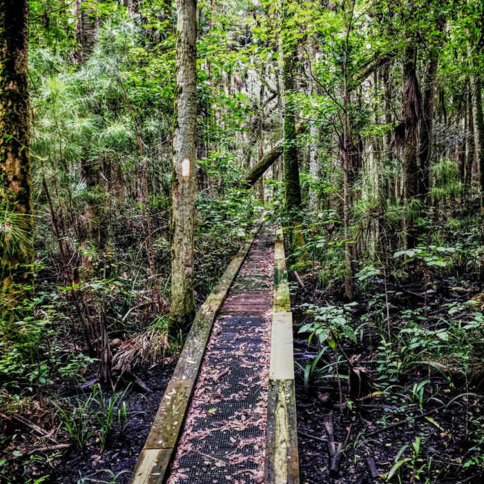 Near Cathedral of Palms Loop