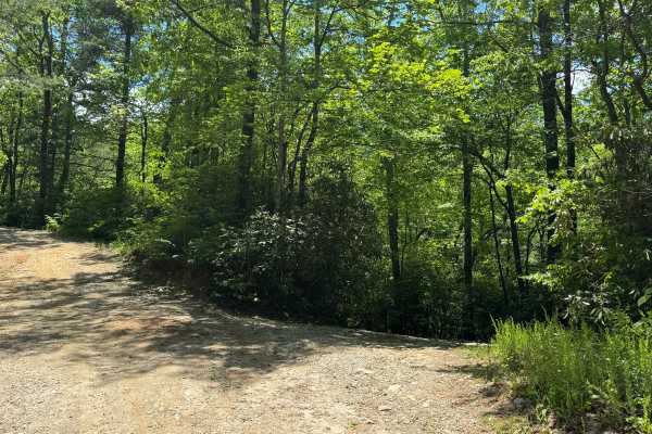 Rock Creek Lake - FS 69A