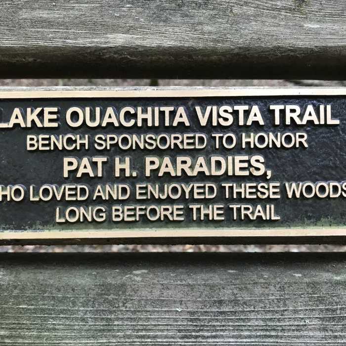 Pat H. Paradies Bench Near LOViT: Ode to Bench