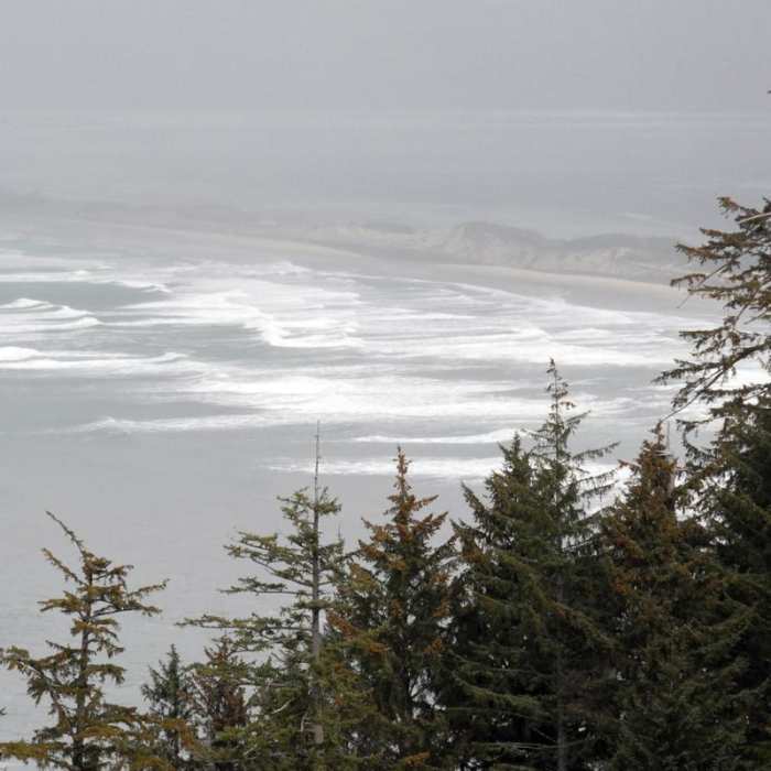 Near Cape Lookout Hiking Trail
