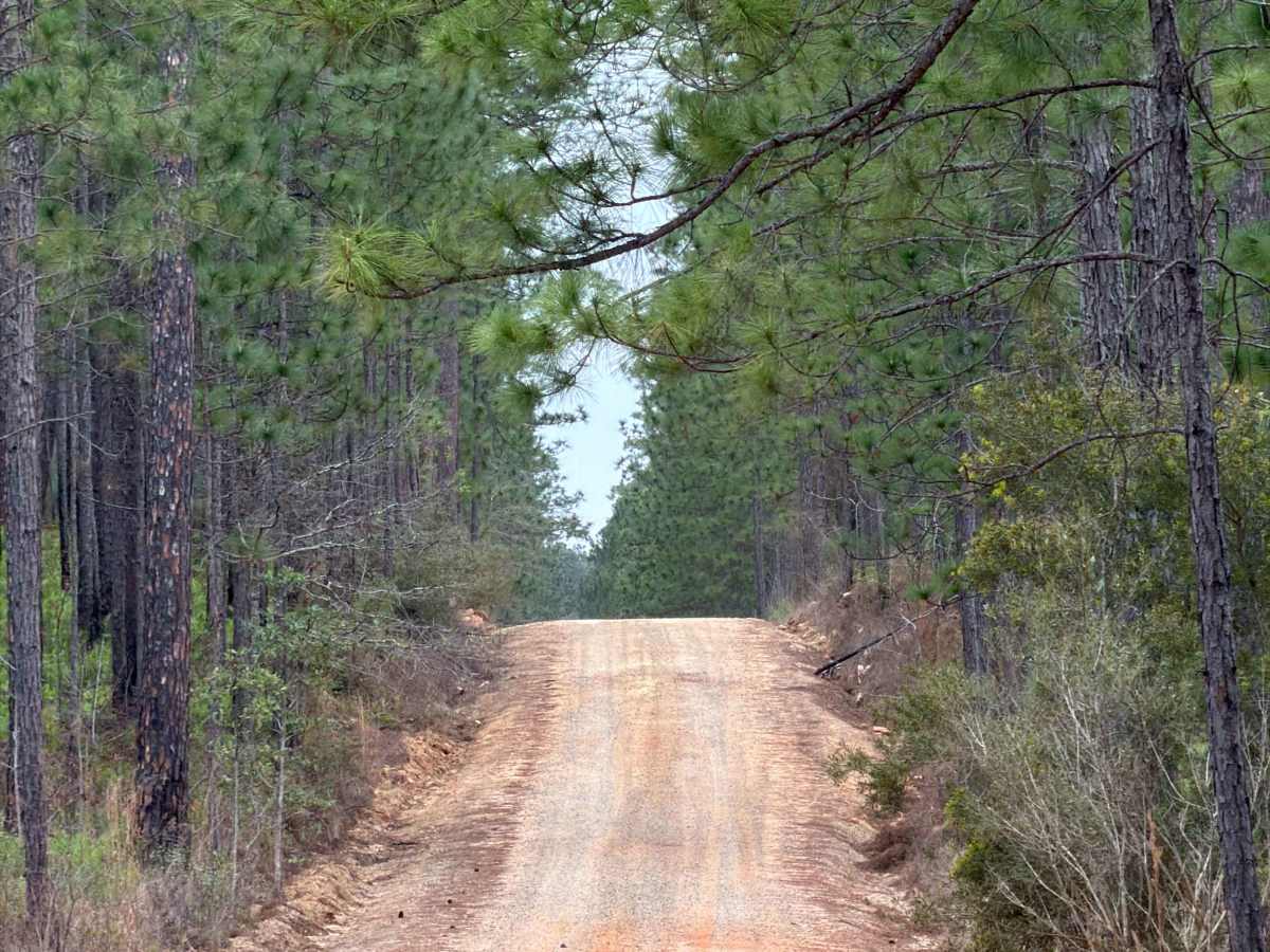 Coldwater Horse Trail photo 6