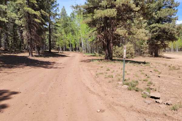 Ponderosa Loop