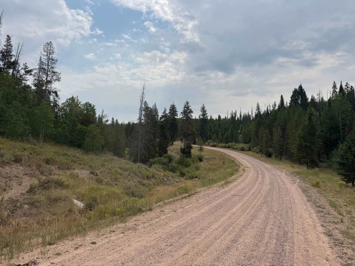 Reed Creek Road - FS 440  trail photo