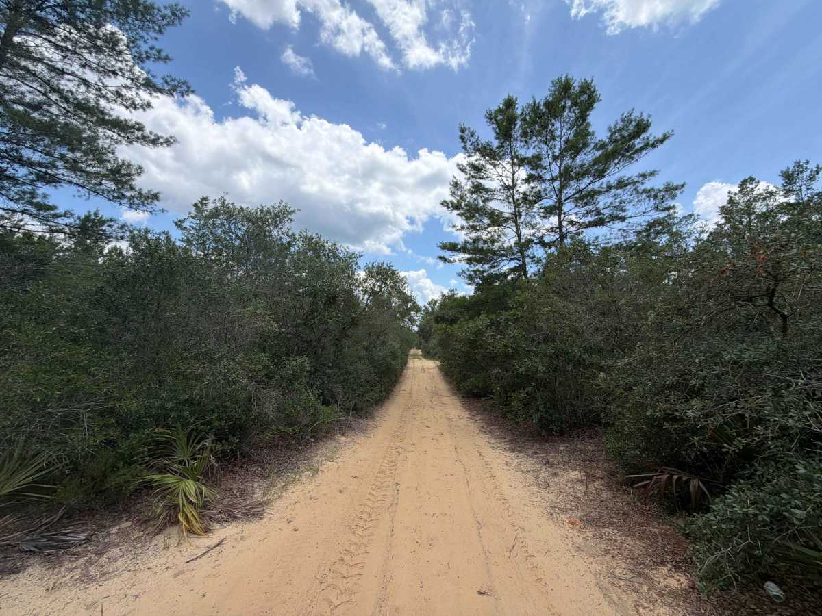 ONF 9-1.3 trail photo